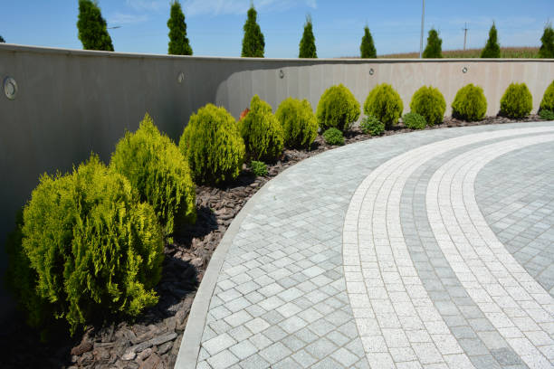 Best Decorative Driveway Pavers  in Pahokee, FL